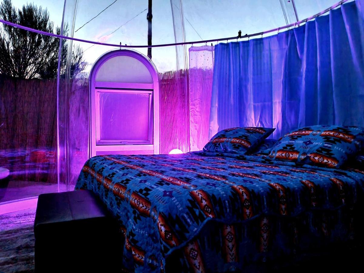 Stargazing Retreats Homestay 캠프버드 외부 사진