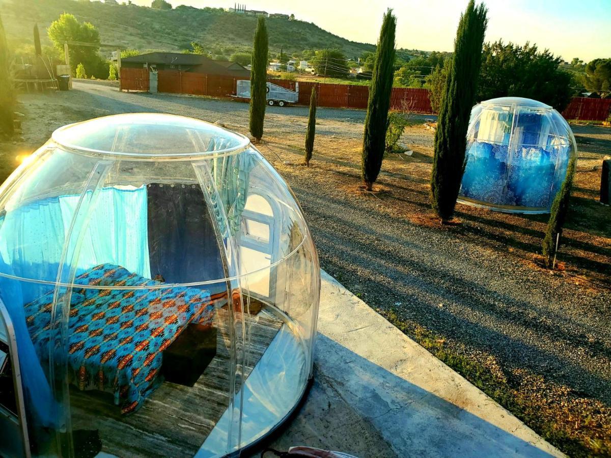 Stargazing Retreats Homestay 캠프버드 외부 사진