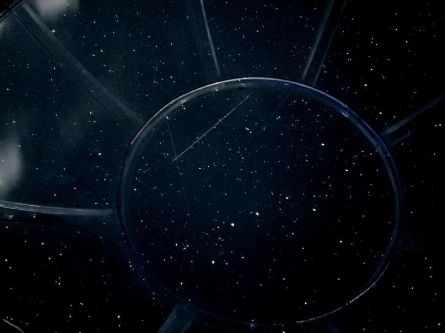 Stargazing Retreats Homestay 캠프버드 외부 사진